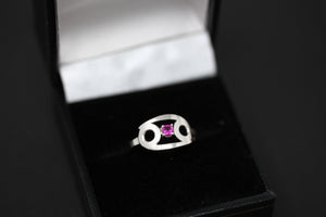 Zodiac Rings with Birthstones for Women in Sterling Silver