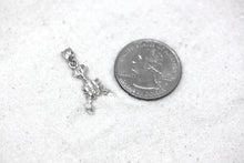 Load image into Gallery viewer, Crab Cancer Zodiac June July Charm Pendant and Necklace in Sterling Silver