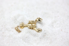 Load image into Gallery viewer, Crab Cancer Zodiac June July Charm Pendant and Necklace in Gold